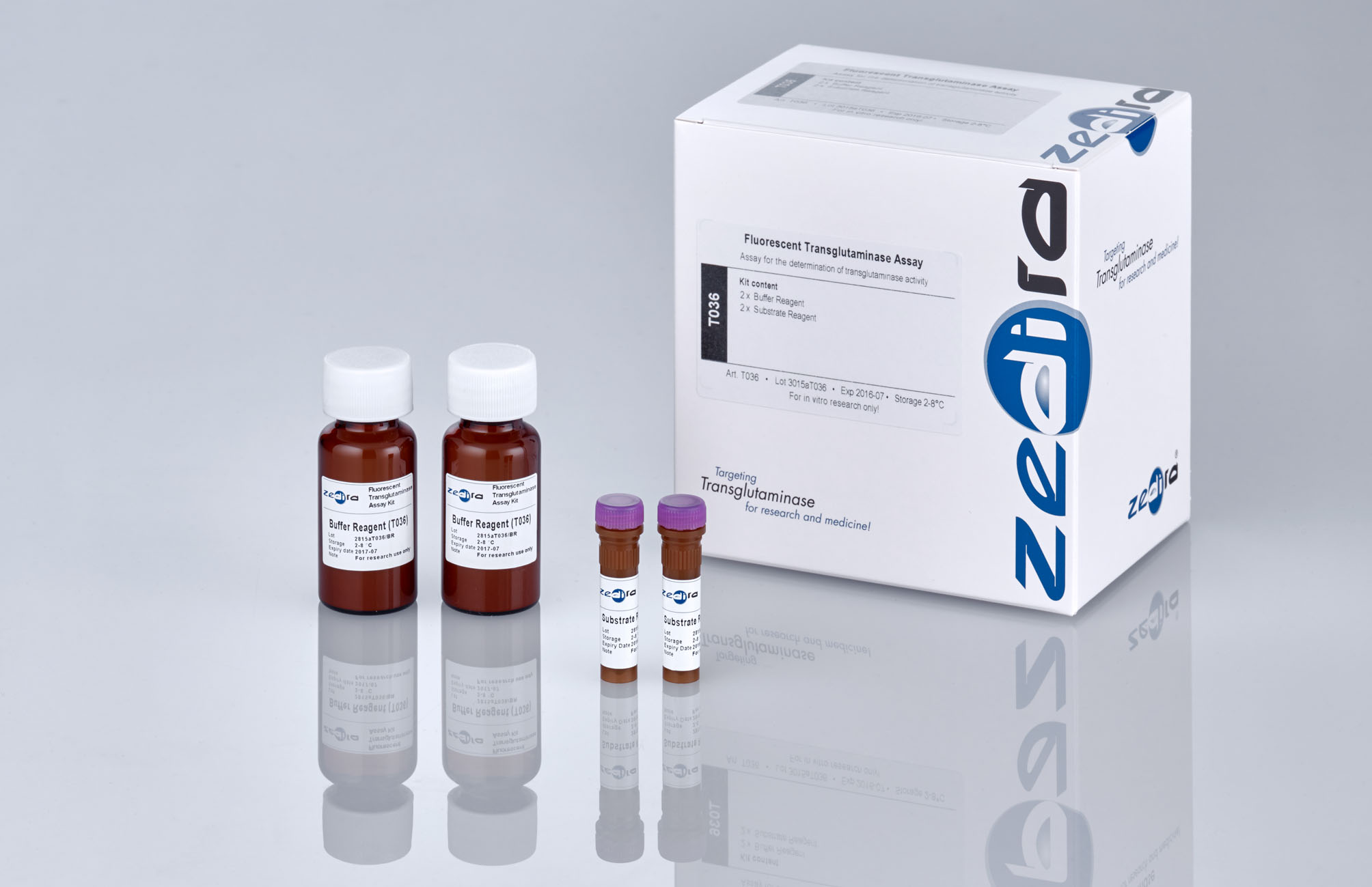 Transglutaminase Activity Assay Kit