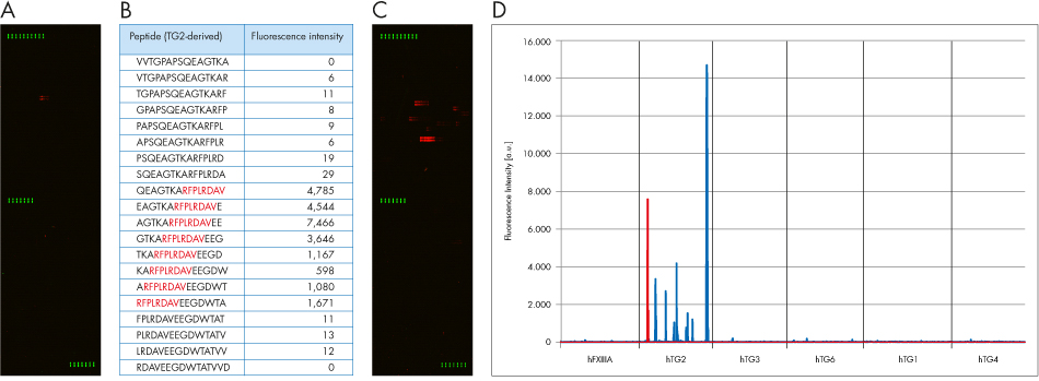 PEPperCHIP Transglutaminase Peptide Microarray Poster Figure 1