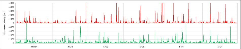 PEPperCHIP Transglutaminase Peptide Microarray Poster Figure 3