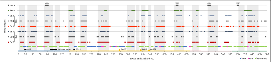 PEPperCHIP Transglutaminase Peptide Microarray Poster Figure 5