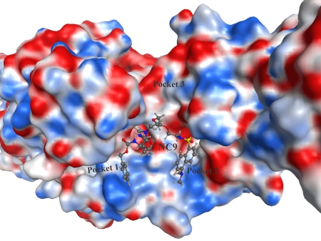 Blog Keillor tTG inhibitor Figure 3